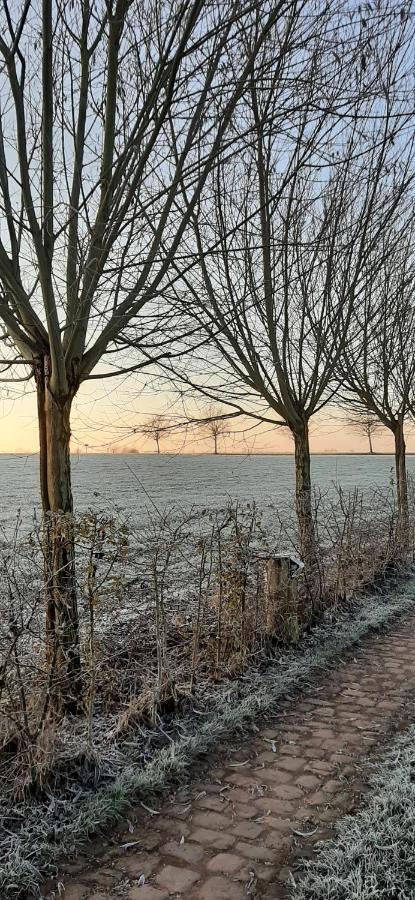 Vakantiewoning Victors Hof Tot 4 Pers Lievegem Eksteriør bilde