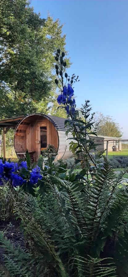 Vakantiewoning Victors Hof Tot 4 Pers Lievegem Eksteriør bilde