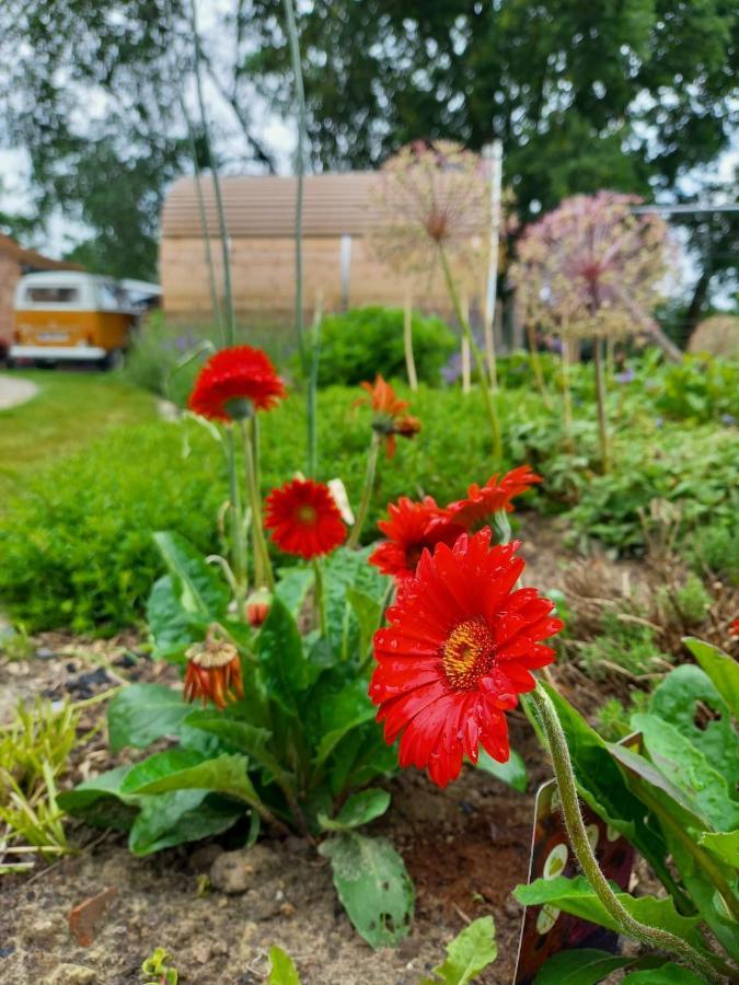Vakantiewoning Victors Hof Tot 4 Pers Lievegem Eksteriør bilde