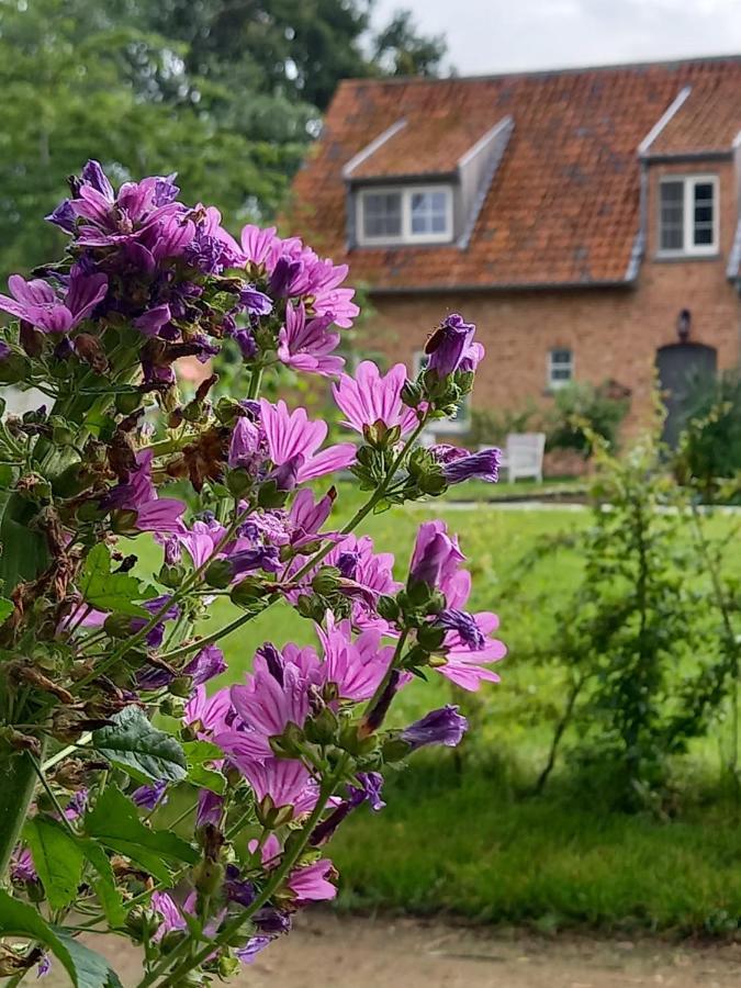 Vakantiewoning Victors Hof Tot 4 Pers Lievegem Eksteriør bilde